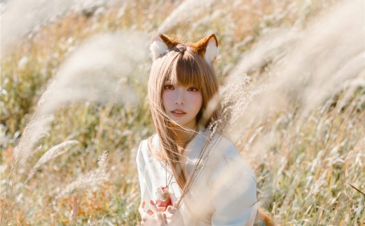 ElyEE子 Breeze 狼與微風 [34P3V-207MB]