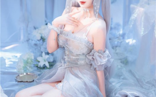 轩萧学姐 Nikke胜利女神 灰姑娘·水晶公主[40P-309M]