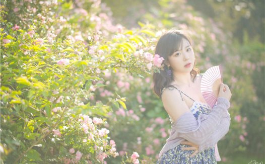 皮皮奶 蔷薇花 [37P-787MB]